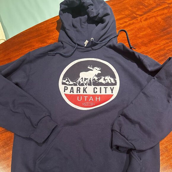 Navy Park City Hoodie - Picture 1 of 2